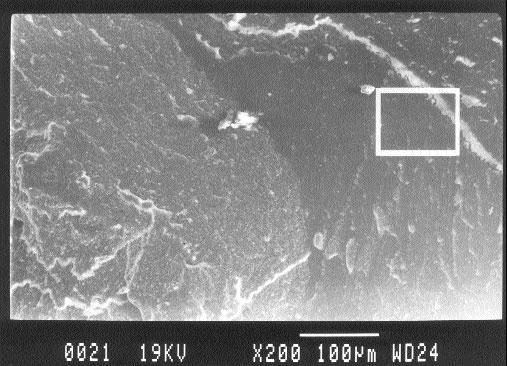 95 Εικόνα 51: Δοκίμιο της ομάδος Β-CIT-Bond.