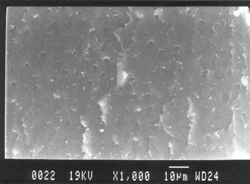 Εικόνα 52: Δοκίμιο της ομάδος Β-CIT-Bond