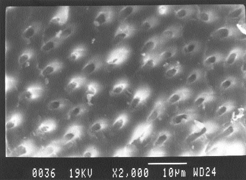 97 Εικόνα 57: Δοκίμιο της ομάδος Β-RC-Bond