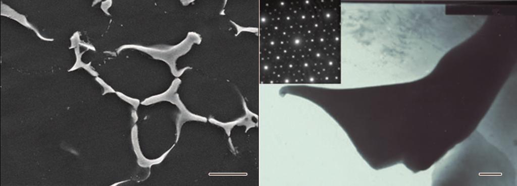 1 and corresponding SAED pattern (the insert) taken from the Q phase (b) 2 Ú Û µå Table 2 Results of EDXS analyses obtained from intermediate phases in the alloys studied (atomic fraction, %) Phase