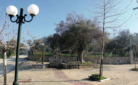 Νιφοραίικα