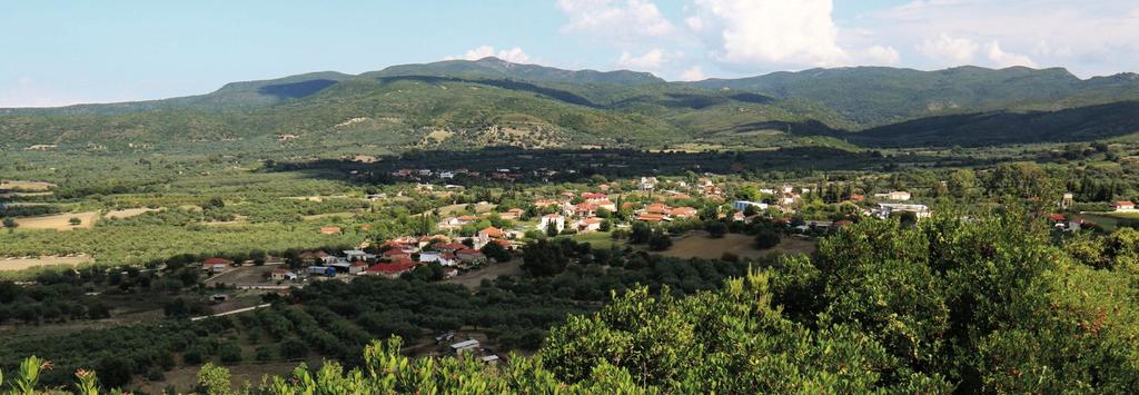 Ματαράγκα