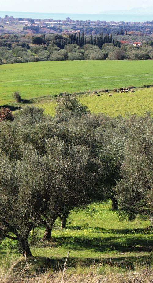 Αγ. Νικόλαος