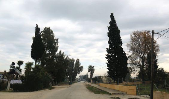,  Ράχη,