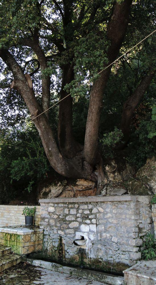 Αγίου Νικολάου,