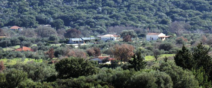 Ν. Παμμεγίστων