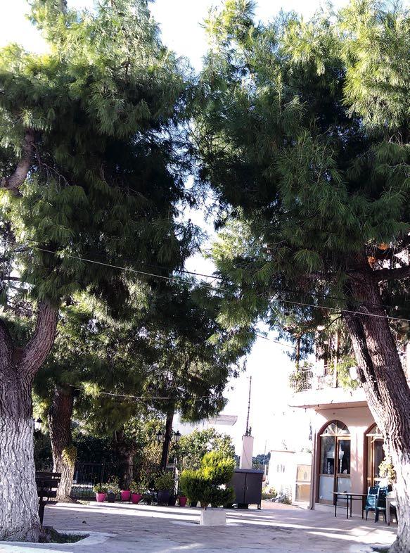 Κάτω Αλισσός Κρυφό