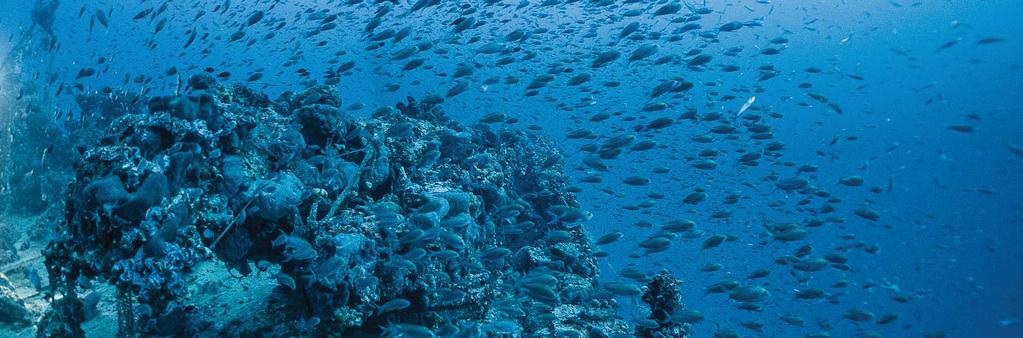 ΟΜΙΛΗΤΕΣ Pierre-Yves Cousteau (FR) CEO και ιδρυτής της οργάνωσης Cousteau Divers Organization TBC Δημήτρης Γκαλών (GR) Τεχνικός δύτης, ερευνητής-ιστορικός www.keadive.
