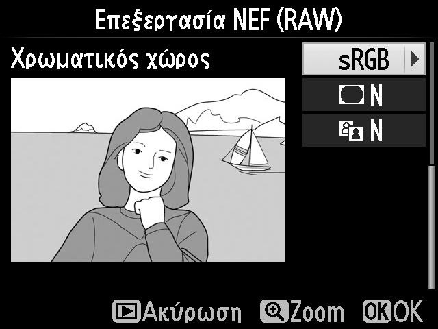 3 Επιλέξτε ρυθμίσεις για το αντίγραφο JPEG. Προσαρμόστε τις ρυθμίσεις που παρατίθενται παρακάτω.
