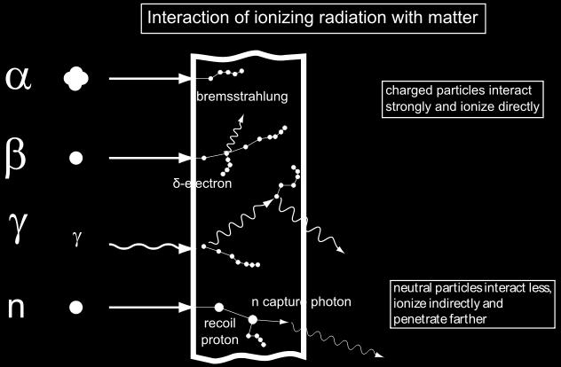 Νετρόνια Τα νετρόνια έχουν μηδενικό ηλεκτρικό φορτίο και ως εκ τούτου συχνά δεν προκαλούν άμεσα ιοντισμό σε ένα μόνο βήμα ή κατά την αλληλεπίδραση με την ύλη.