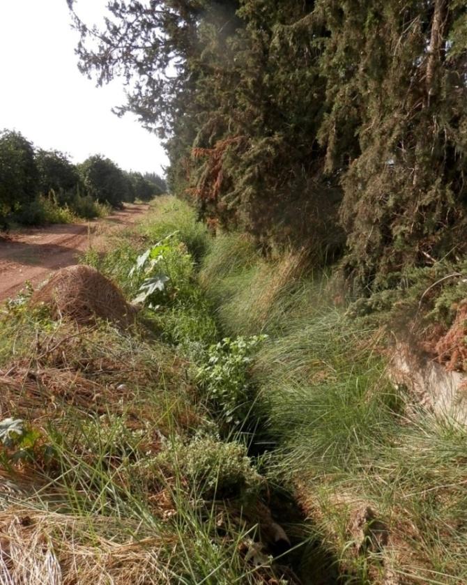 Διαχείριση των αποβλήτων Απόρριψη σε παρακείμενους αγρούς 12000 mg/kg 400