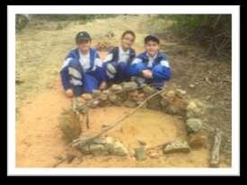 mini beasts