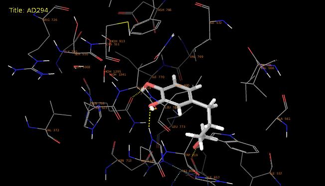 Compound AD294 appears to bind well in the active site of the protein.