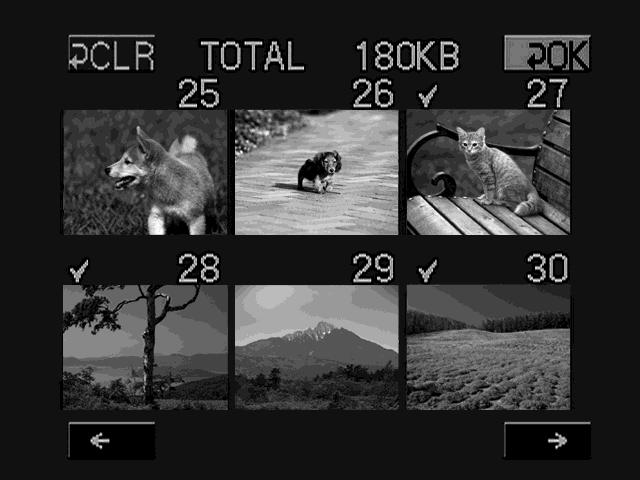 Creazione del proprio Album Sony sul Web 2 Selezione delle immagini da caricare Poi selezionare le immagini da caricare. (1) Toccare [Image Sel.] (selezione immagini).