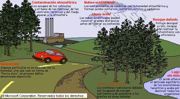 Na maior parte das fontes de combustión, coa excepción dos vehículos diesel, unha pequena parte dos NOx, normalmente entre o 5-10%, emítese directamente como NO 2.