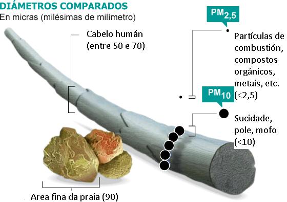 unha vez inhaladas, poden chegar ás zonas periféricas dos bronquíolos e alterar o intercambio pulmonar de gases.