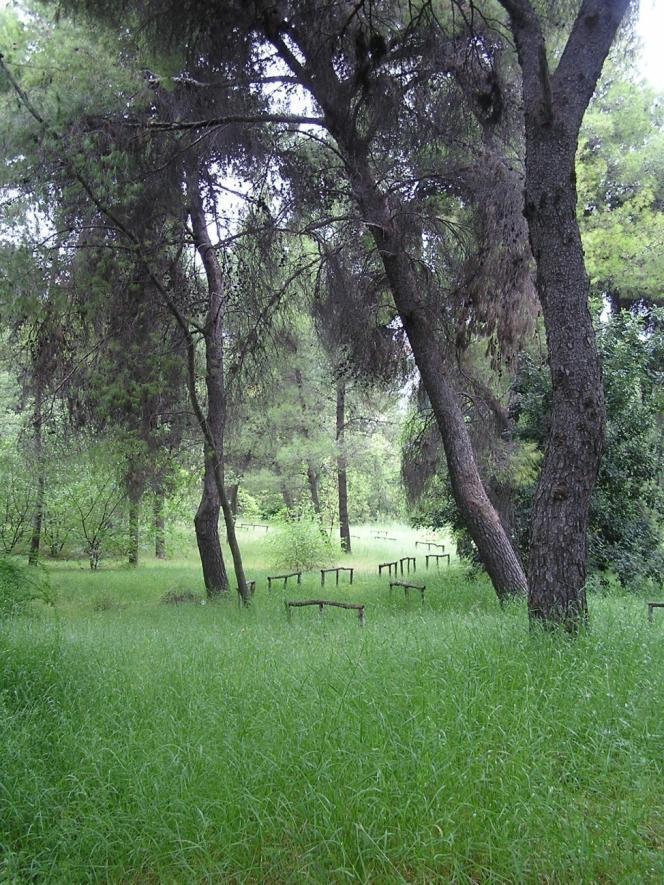 Η ΣΤΡΩΜΑΤΩΣΗ ΤΗΣ ΒΛΑΣΤΗΣΗΣ ΣΕ ΕΝΑ ΔΑΣΟΣ είναι ένα πολύ καλό μάθημα για να κατανοήσουν τα παιδιά το πώς τα φυτά επηρεάζονται από τις συνθήκες του περιβάλλοντος, ακόμη και από τα άλλα φυτά.
