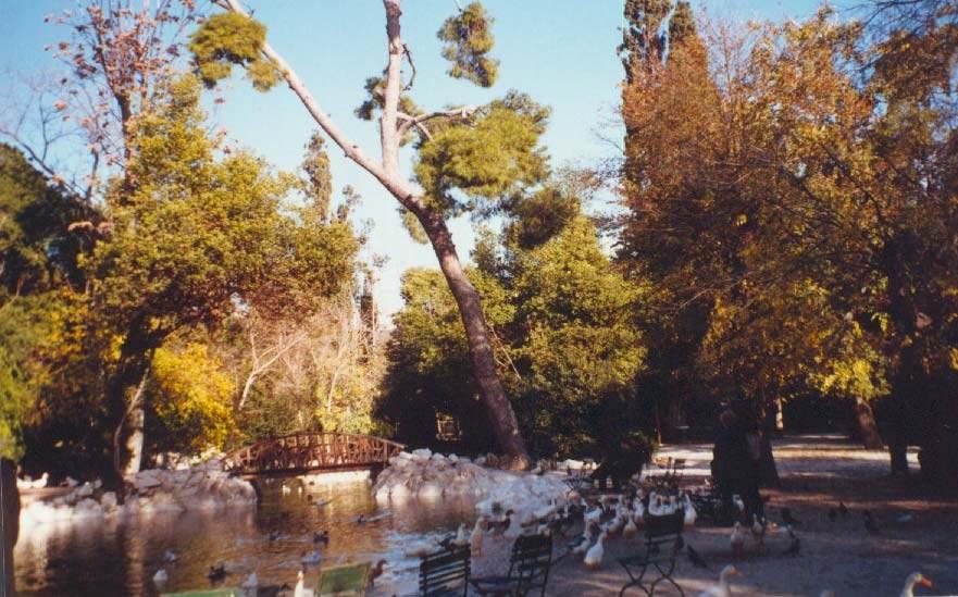 ΙΑΝΟΥΑΡΙΟΣ-ΦΕΒΡΟΥΑΡΙΟΣ 2007