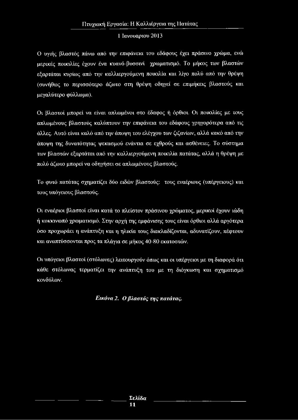 Οι βλαστοί μπορεί να είναι απλωμένοι στο έδαφος ή όρθιοι. Οι ποικιλίες με τους απλωμένους βλαστούς καλύπτουν την επιφάνεια του εδάφους γρηγορότερα από τις άλλες.