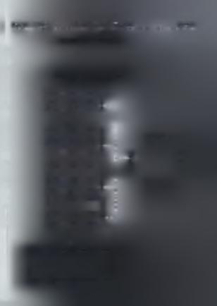 1. 2 9 5 /