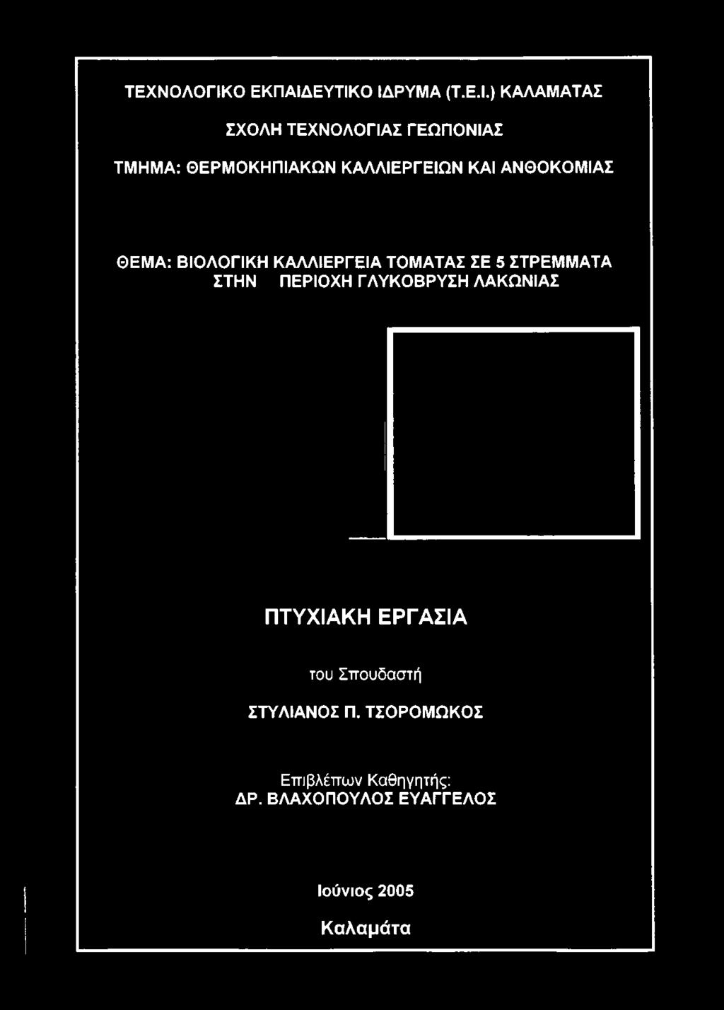 ΕΥΤΙΚΟ ΙΔΡΥΜΑ (Τ.Ε.Ι.) ΚΑΛΑΜΑΤΑΣ ΣΧΟΛΗ ΤΕΧΝΟΛΟΓΙΑΣ