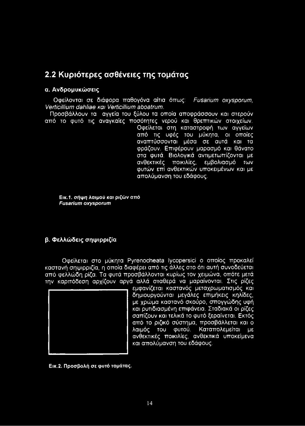 Οφείλεται στη καταστροφή των αγγείων από τις υφές του μύκητα, οι οποίες αναπτύσσονται μέσα σε αυτά και τα φράζουν. Επιφέρουν μαρασμό και θάνατο στα φυτά.