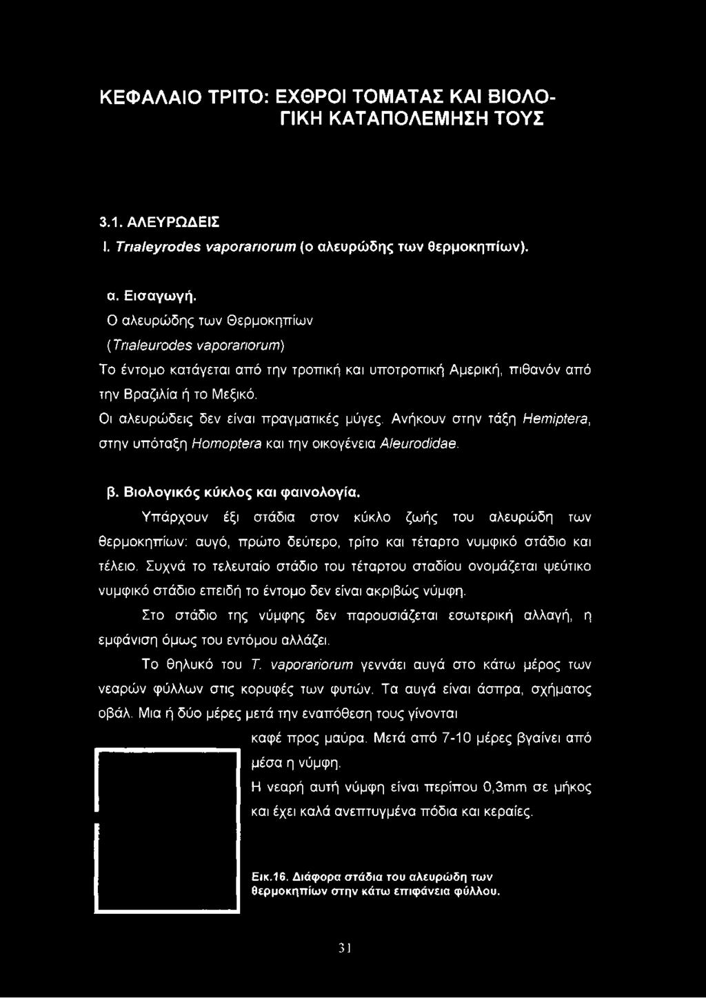 Ανήκουν στην τάξη ΗβηιίρίθΓθ, στην υπόταξη ΗοινορίΘΓθ και την οικογένεια ΑΙθυτοάίόθθ. β. Βιολογικός κύκλος και φαινολογία.