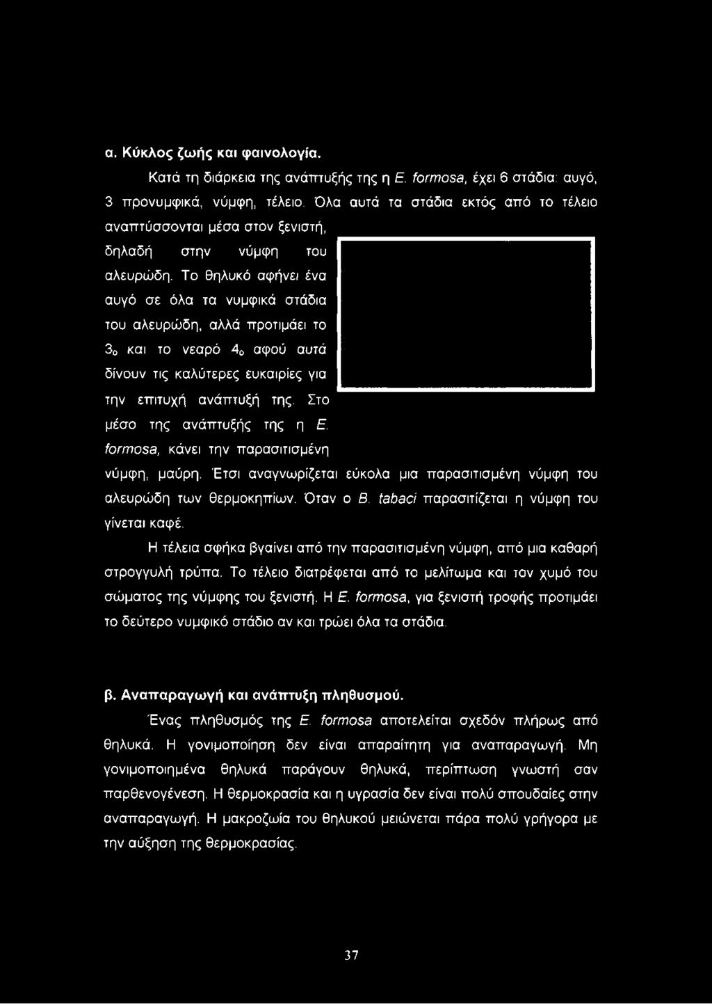 Το θηλυκό αφήνει ένα αυγό σε όλα τα νυμφικά στάδια του αλευρώδη, αλλά προτιμάει το 30 και το νεαρό 40 αφού αυτά δίνουν τις καλύτερες ευκαιρίες για την επιτυχή ανάπτυξή της.