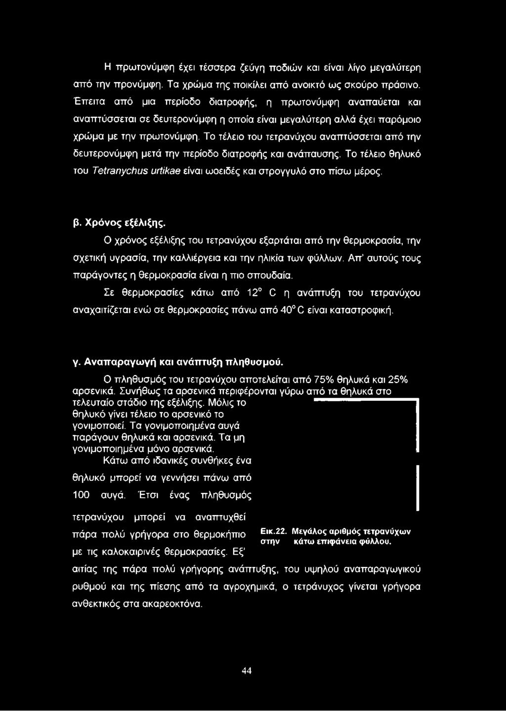 Η πρωτονύμφη έχει τέσσερα ζεύγη ποδιών και είναι λίγο μεγαλύτερη από την προνύμφη. Τα χρώμα της ποικίλει από ανοικτό ως σκούρο πράσινο.