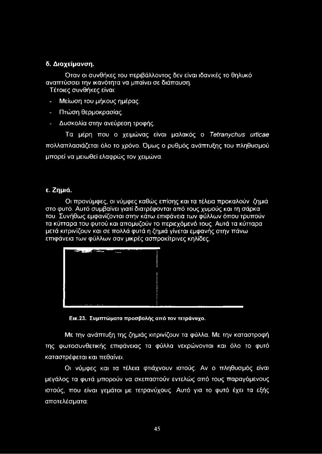 Όμως ο ρυθμός ανάπτυξης του πληθυσμού μπορεί να μειωθεί ελαφρώς τον χειμώνα. ε. Ζημιά. Οι προνύμφες, οι νύμφες καθώς επίσης και τα τέλεια προκαλούν ζημιά στο φυτό.