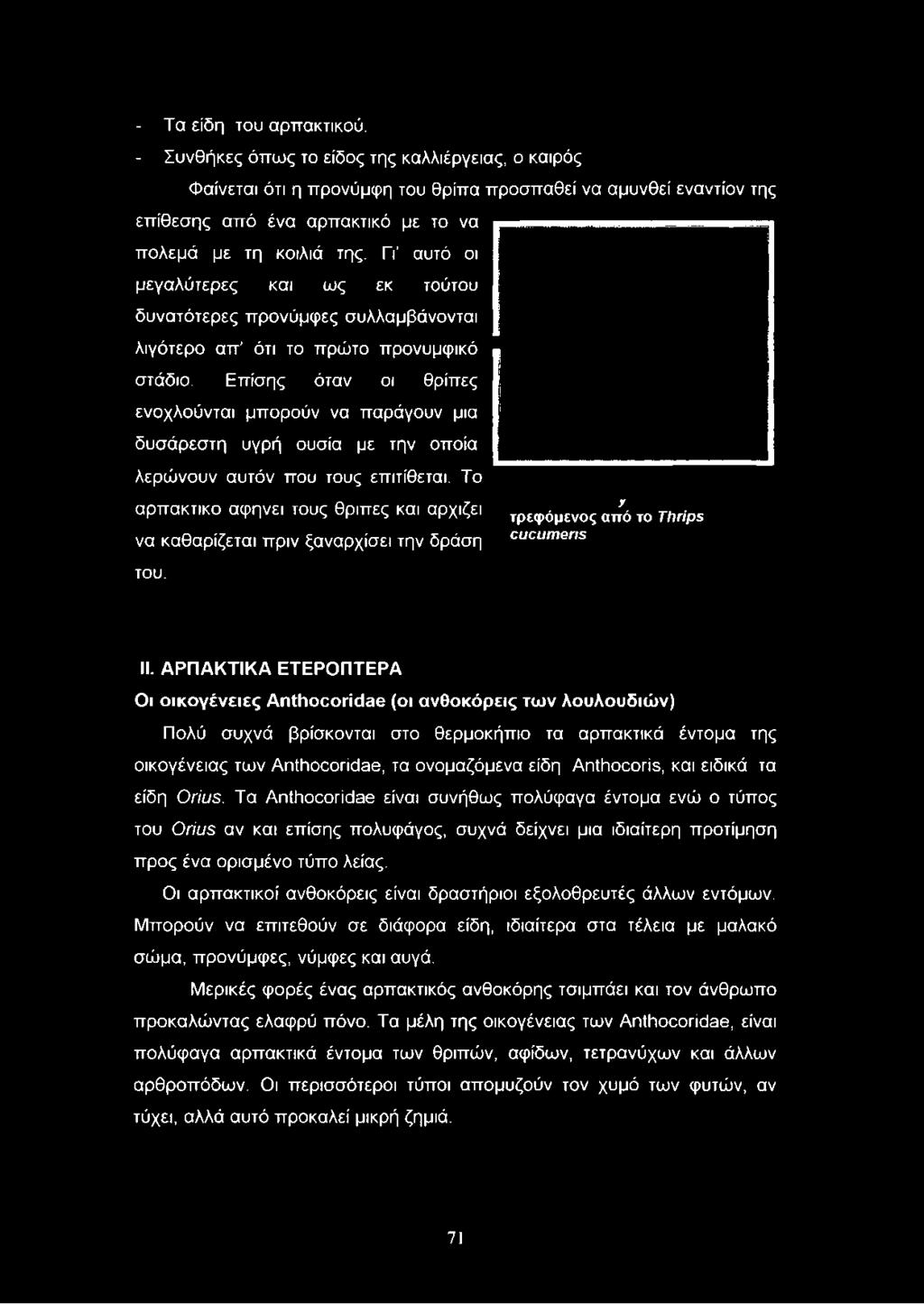 ΓΓ αυτό οι μεγαλύτερες και ως εκ τούτου δυνατότερες προνύμφες συλλαμβάνονται λιγότερο απ ότι το πρώτο προνυμφικό στάδιο.