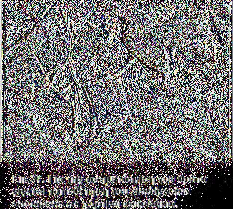 τους θρίπες μόλις αυτοί παρουσιαστούν. Κατά της περιόδου ανάπτυξής τους τα αρπακτικά ακάρεα παραμένουν στην καλλιέργεια ακόμα και όταν δεν υπάρχουν καθόλου θρίπες.