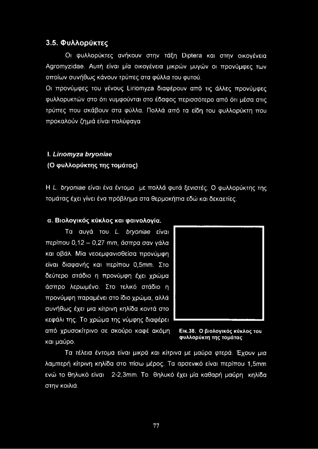 Πολλά από τα είδη του φυλλορύκτη που προκαλούν ζημιά είναι πολύφαγα I. υπογπγζθ ό/γοηϊθβ (Ο φυλλορύκτης της τομάτας) Η /.. όγγοηιθβ είναι ένα έντομο με πολλά φυτά ξενιστές.