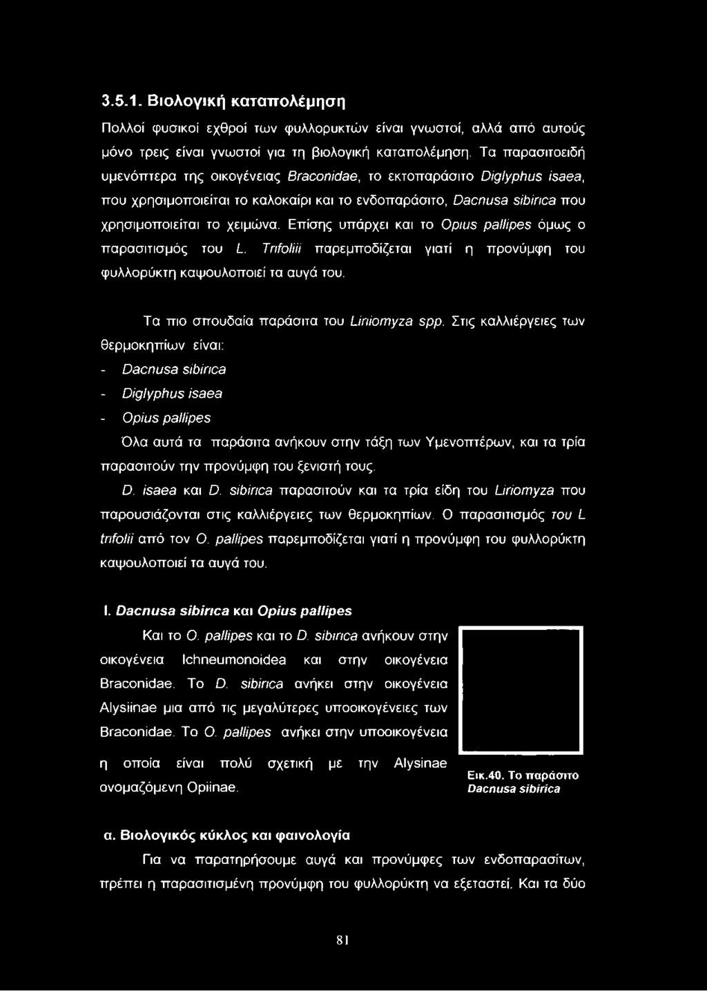 Επίσης υπάρχει και το Ορ/υε ρθμρβε όμως ο παρασιτισμός του Ζ_. ΤπίοΙίίί παρεμποδίζεται γιατί η προνύμφη του φυλλορύκτη καψουλοποιεί τα αυγά του. Τα πιο σπουδαία παράσιτα του ϋηίοιτιγζθ ερρ.