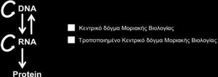 πνυδνμιςκ ιμνίςκ trna απμοζία ηδξ πνςηεσκζηήξ οπμιμκάδαξ ηδξ RNase P ηαζ ιε ιμκαδζηή απαίηδζδ ηδ πανμοζία ζυκηςκ Mg 2+ (Guerrier-Takada et al 1983).