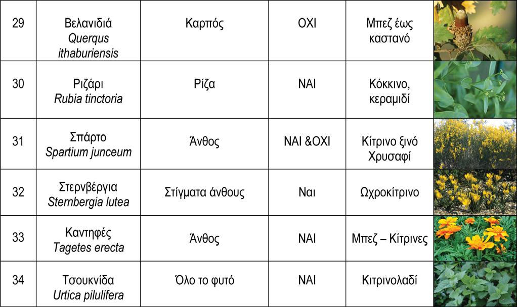 (Πηγή: Παπαδάκη Ελένη, «Βαφικά φυτά της Κρήτης & Τεχνικές Βαφής,