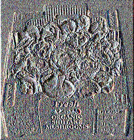 Εικόνα 2.