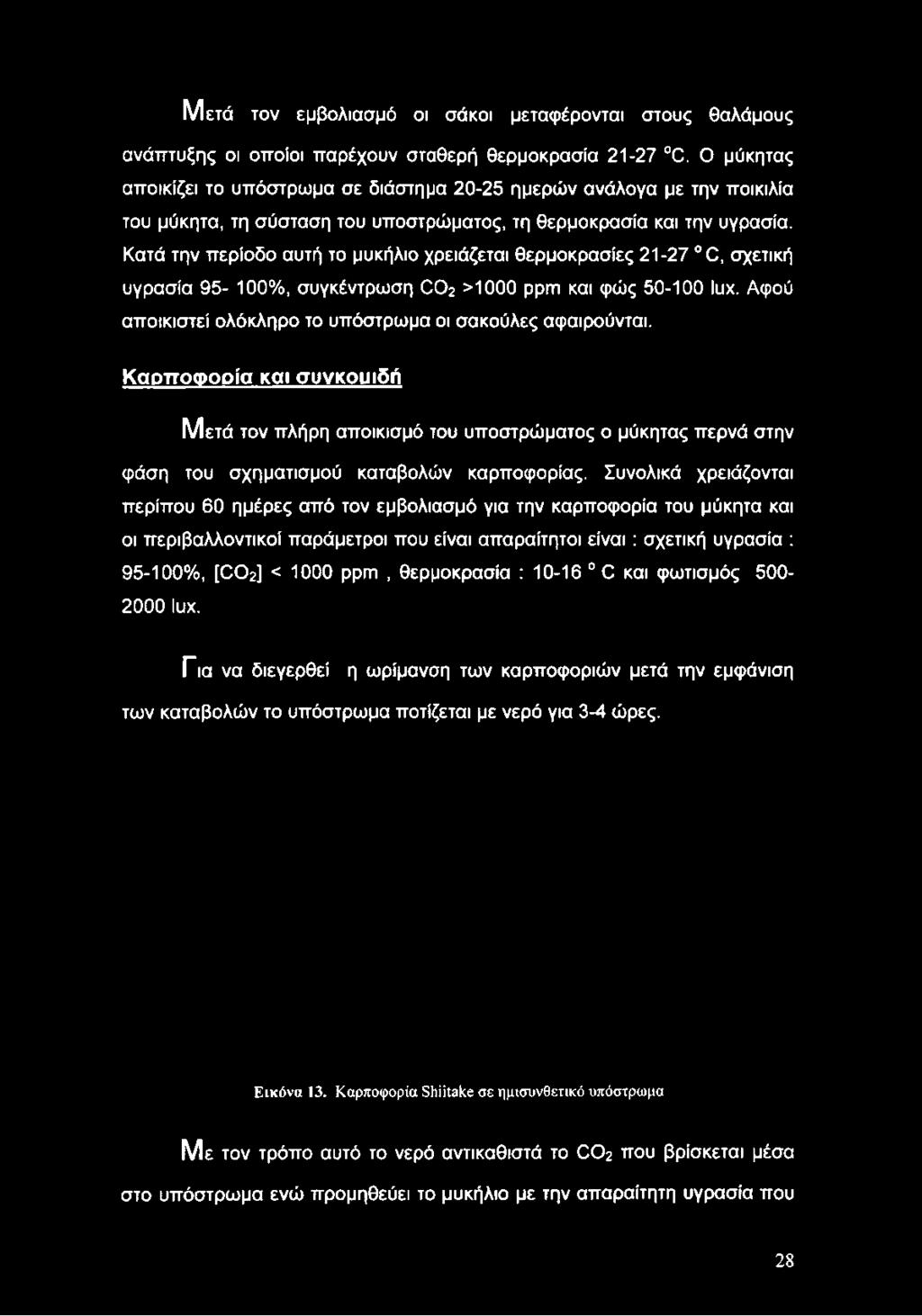 Κατά την περίοδο αυτή το μυκήλιο χρειάζεται θερμοκρασίες 21-27 C, σχετική υγρασία 95-100%, συγκέντρωση CÜ2 >1000 ppm και φώς 50-100 lux.