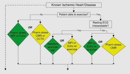 Algorithm for Risk Assessment of Patients With SIHD* *Colors correspond to