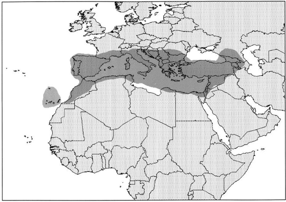 ειδών, τα οποία εντοπίζονται στην περιοχή του Μαρμαρά και του Αιγαίου για την Τουρκία, ενώ για την Ισπανία στο νοτιοανατολίκο τμήμα της Ιβηρικής Χερσονήσου.