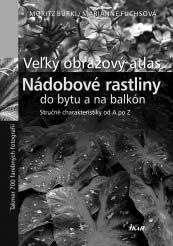 Autor v knihe ponúka 44 cvičení, ktoré vás naučia ako sa skontaktovať s duchovným ochrancom a vyhnúť sa hroziacim nebezpečenstvám.