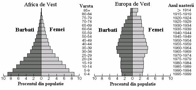 Ecosfera şi Sistemul Socio-economic Uman Figura 5.14 Structura pe clase de vârstă şi sexe caracteristice pentru ţările în curs de dezvoltare (Africa de Vest) şi ţări dezvoltate (Europa de Vest).