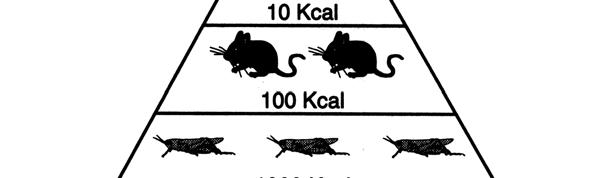 3.12 Controlul demografic este necesar doar pentru celelalte specii de animale, nu şi pentru om. 3.13 Progresul tehnologic poate rezolva orice problemă de mediu. 3.14 Modificările climatice globale nu afectează SSEU.