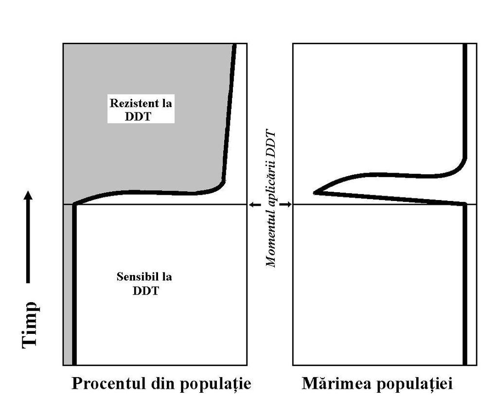 Impactul antropic sute de milioane de oameni.
