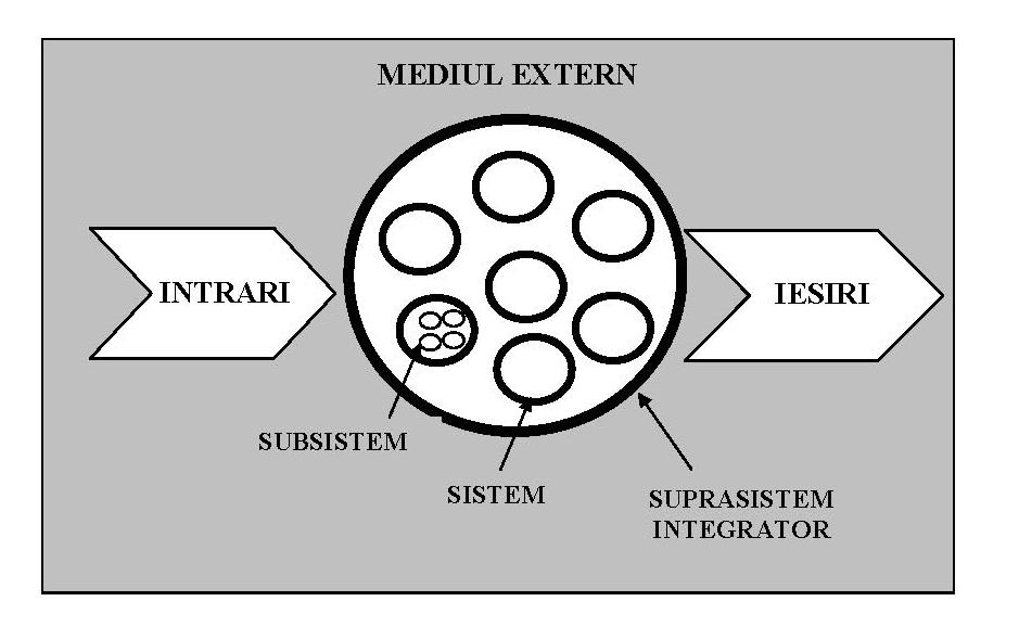 Structura ierarhică a sistemelor biologice şi ecologice neviu (cum ar fi un cristal de sare) de dimensiuni comparabile, nici chiar de dimensiuni de sute şi mii de ori mai mari. Cadrul 1.