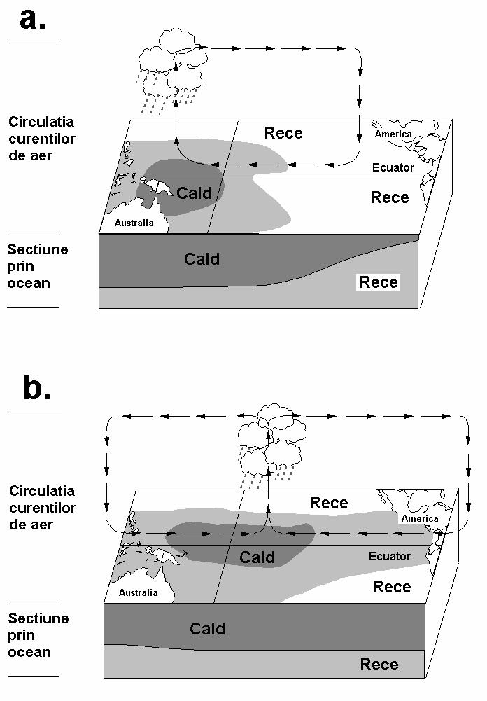 Structura ecosistemului Figura 3.
