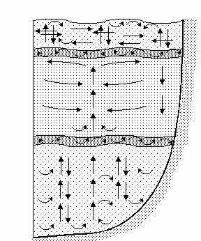 Structura ecosistemului Figura 3.8 Stratificarea pe verticală a Mării Negre.