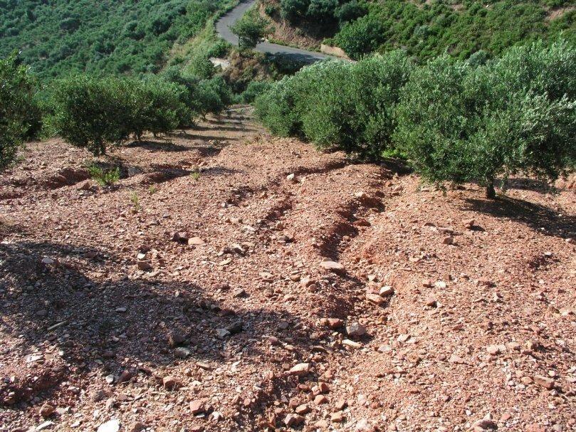 Γ. ΒΡΟΧΟΠΤΩΣΕΙΣ Όσο εντονότερη είναι η βροχόπτωση, τόσο μεγαλύτερες οι ποσότητες του νερού που δεν προλαβαίνει να «κατεισδύσει» (απορροφηθεί) προς το υπέδαφος, άρα και η επιφανειακή απορροή του