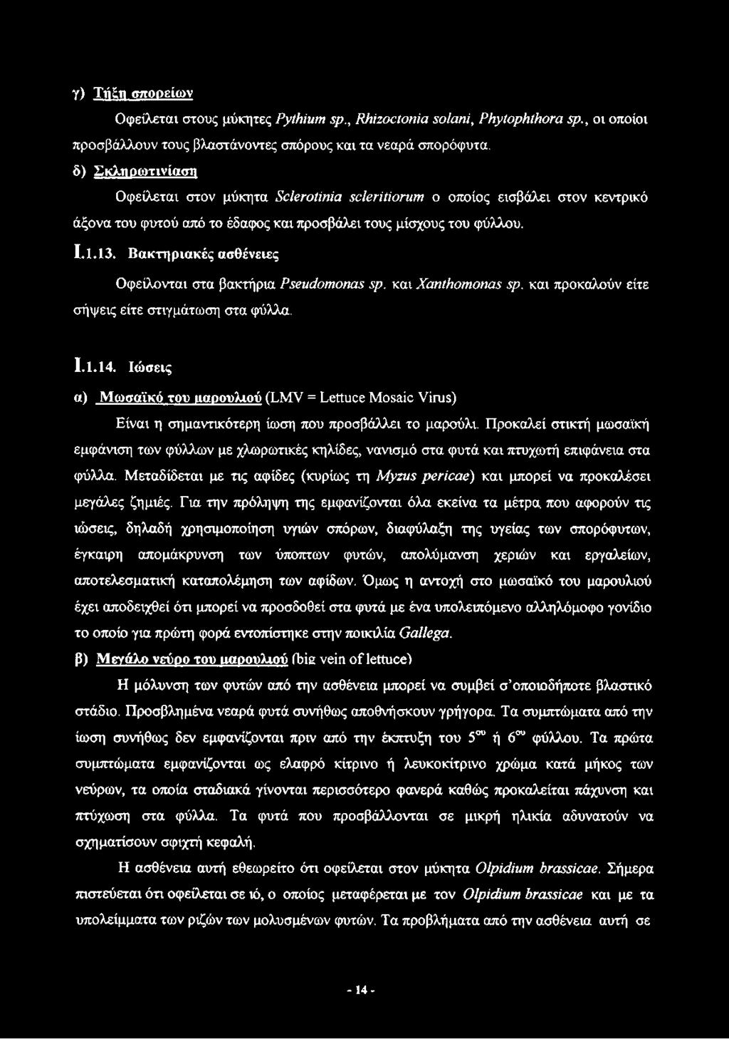 Βακτηριακές ασθένειες Οφείλονται στα βακτήρια Pseudomonas sp. και Xanthomonas sp. και προκαλούν είτε σήψεις είτε στιγμάτωση στα φύλλα. 1.1.14.