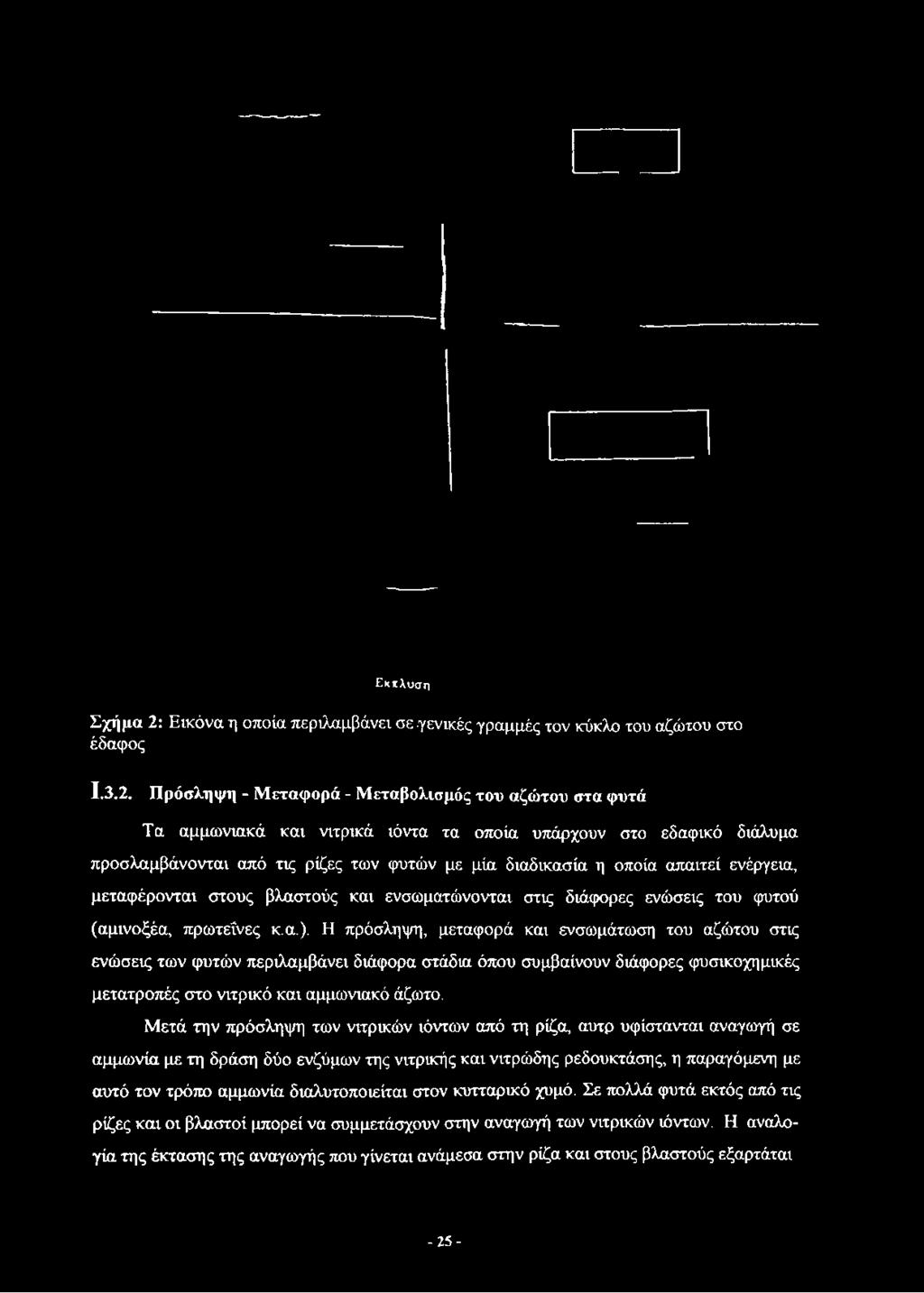 Πρόσληψη - Μεταφορά - Μεταβολισμός του αζώτου στα φυτά Τα αμμωνιακά και νιτρικά ιόντα τα οποία υπάρχουν στο εδαφικό διάλυμα προσλαμβάνονται από τις ρίζες των φυτών με μία